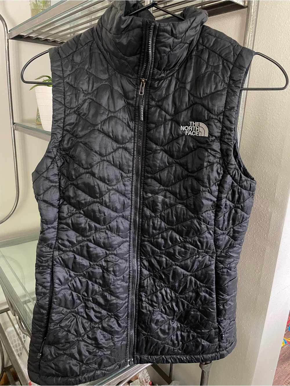 The North Face Women's Black Quilted Packable Vest